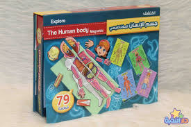 صندوق جسم الإنسان المغناطيسي